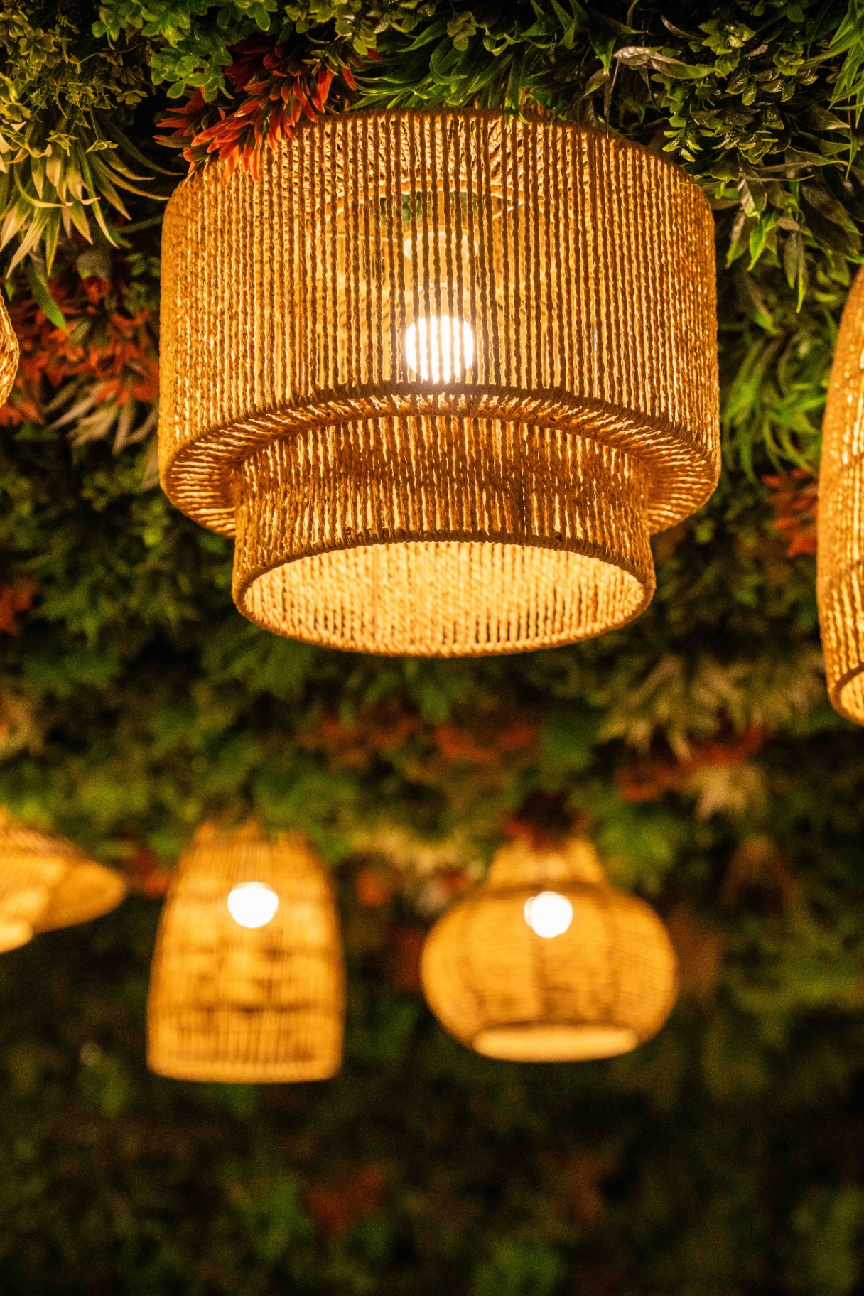 Close-up of woven rattan pendant lamps glowing against the green wall at Yallah
